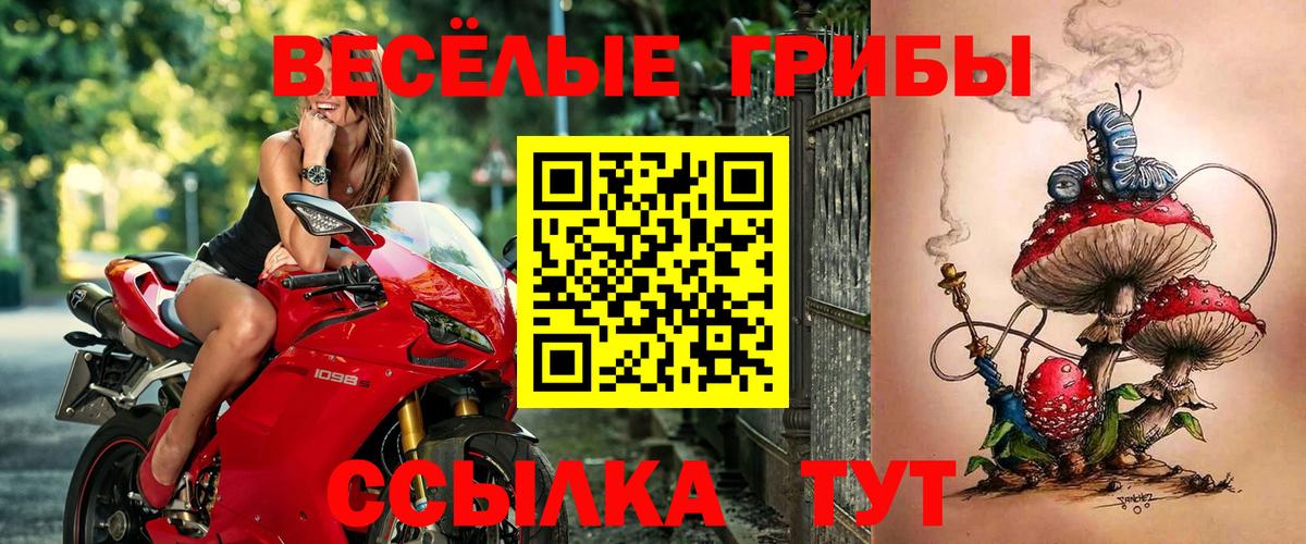 Псилоцибиновые грибы мицелий  Галлюциногенные грибы MAGIC MUSHROOMS  Вход с VPN  Липецк 