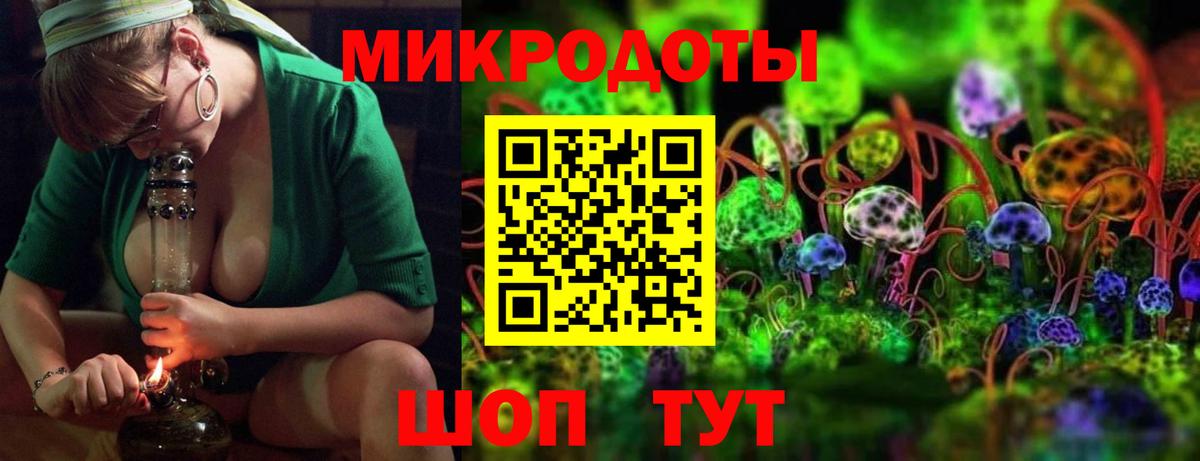 Галлюциногенные грибы Psilocybine cubensis Липецк